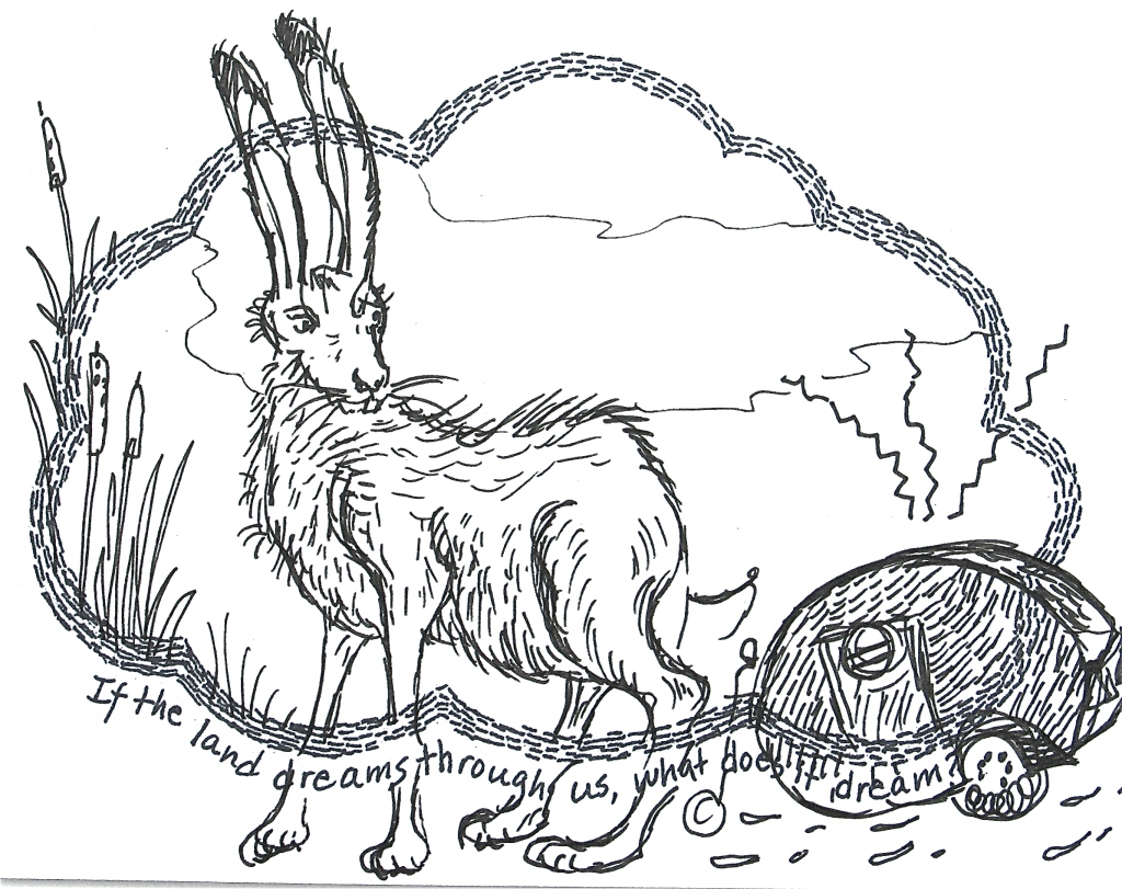 Inhabiting the dream is inspiring the curiosity of an Irish Hare 